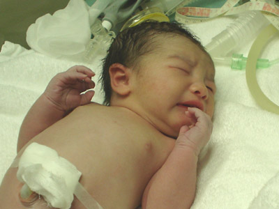 Grace Yuki Mercer