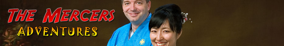 Craig and Kana Mercers' Adventures in Osaka Main Banner Image