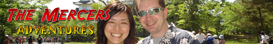 Craig and Kana Mercers' Adventures in Osaka Main Banner Image