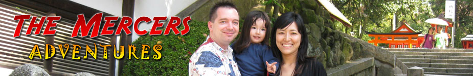 Craig and Kana Mercers' Adventures in Osaka Main Banner Image