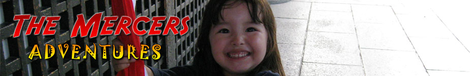 Craig and Kana Mercers' Adventures in Osaka Main Banner Image