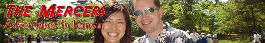 The Mercers' Adventures in Osaka Main Banner Image
