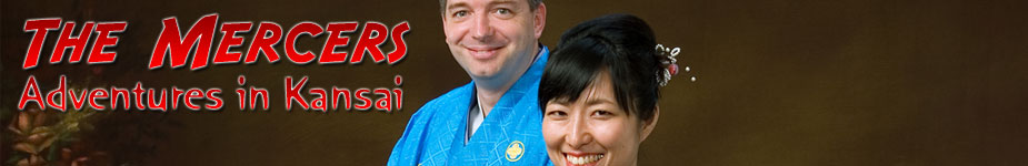 The Mercers' Adventures in Osaka Main Banner Image