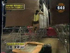 Jumping Spider - ジャンピングスパイダー